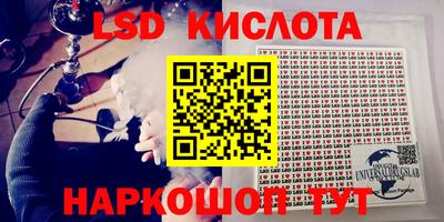 PSILOCYBIN Бугуруслан